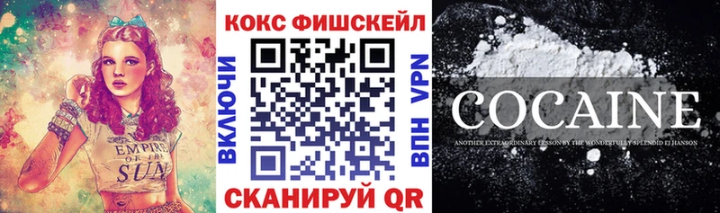 это наркотические препараты  продажа наркотиков  Будённовск  COCAIN Fish Scale 