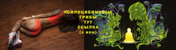 дживик Дмитриев