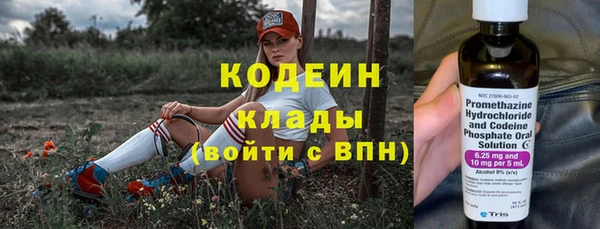 сатива Новодвинск